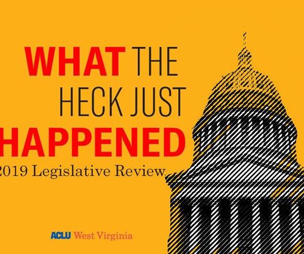 Legislative Review Graphic