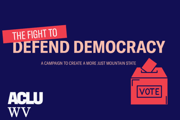 defending democracy gen graphic