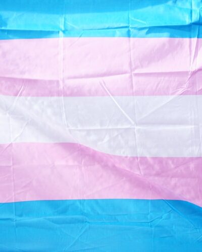 The transgender pride flag