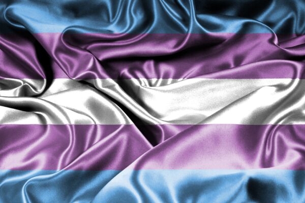 transgender flag