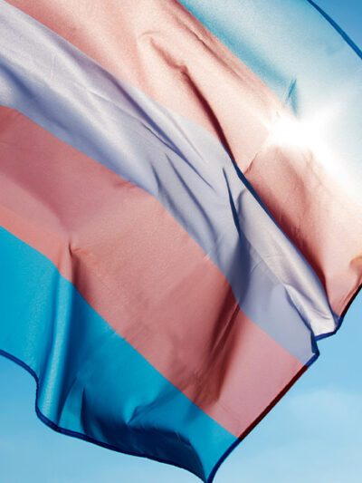 A trans pride flag blowing in the wind with sun rays shining through it.