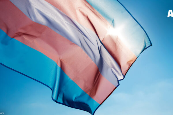 A trans pride flag blowing in the wind with sun rays shining through it.