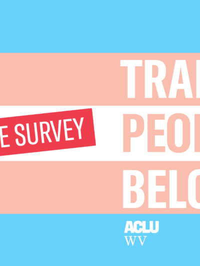 "Trans People Belong" in bold typeface on a transgender pride flag, with the words "take the survey" highlighted in red