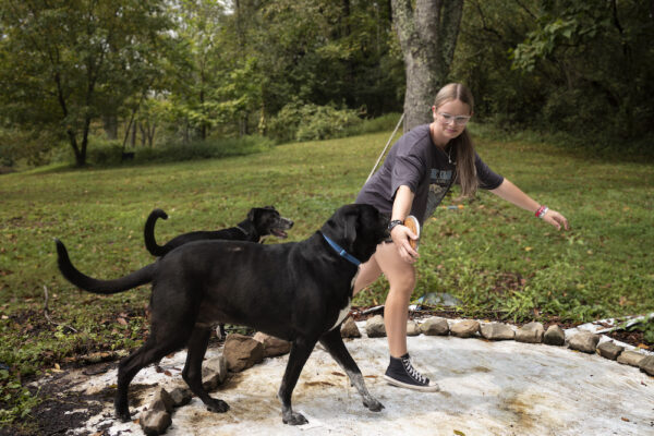 A girl with glasses and long brown hair stands on a white concrete surface in a park, interacting with three playful black dogs. She wears a gray t-shirt, shorts, and black sneakers while extending her hands toward the energetic animals. The dogs, wearing collars in different colors, appear excited and engaged with her. Behind them stretches a grassy hillside dotted with trees creating a natural, peaceful setting.
