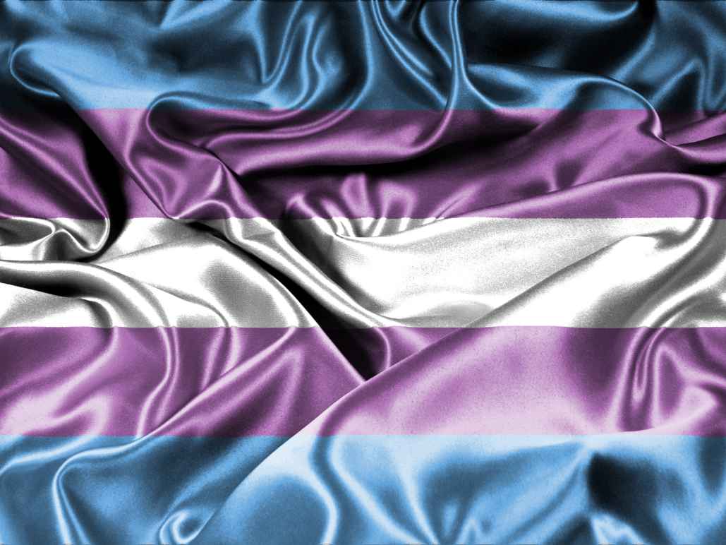 transgender flag