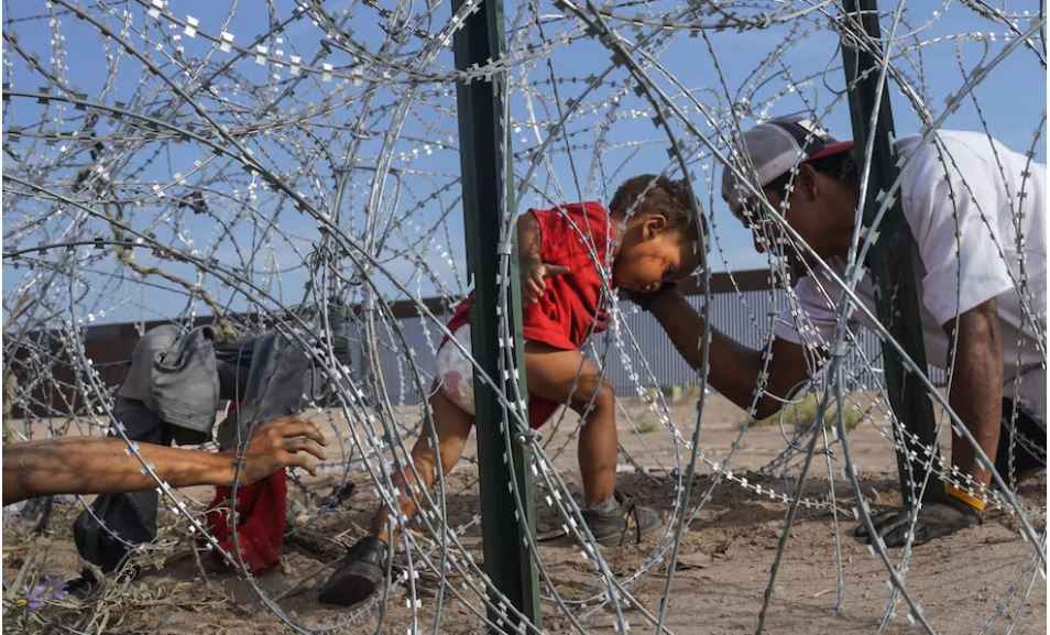 A young child in a red shirt tries to make their way through razor wire.