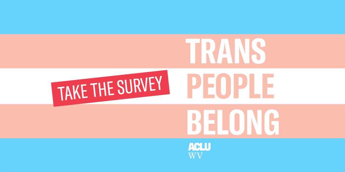 "Trans People Belong" in bold typeface on a transgender pride flag, with the words "take the survey" highlighted in red