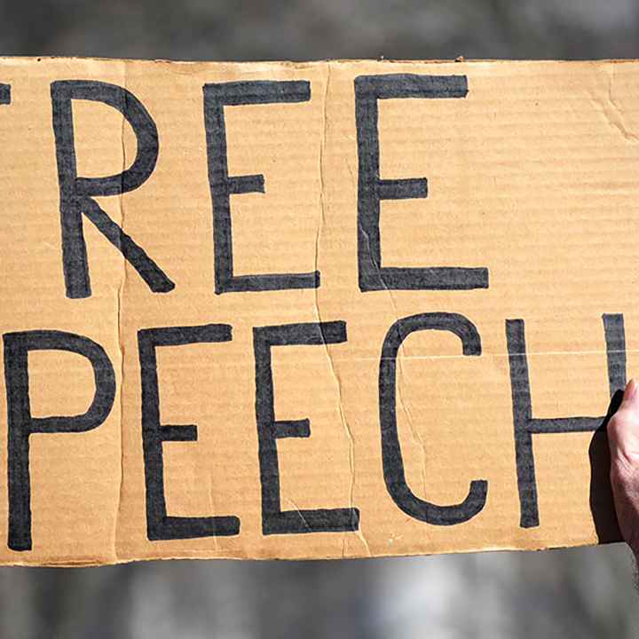 A handmade sign reading "FREE SPEECH"
