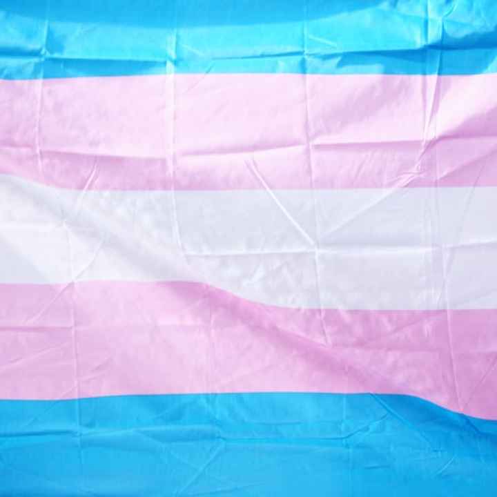 The transgender pride flag