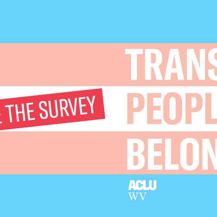 "Trans People Belong" in bold typeface on a transgender pride flag, with the words "take the survey" highlighted in red