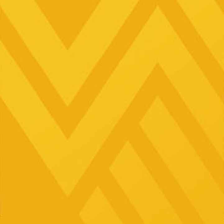 WVU Law students Ian Shoulders and Aliah Hasan are members of the Board of Directors of ACLU-West Virginia. WVU Law students helping with ACLU-WV Election Protection Hotline
